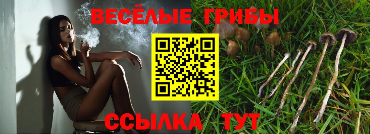 Псилоцибиновые грибы ЛСД Курск